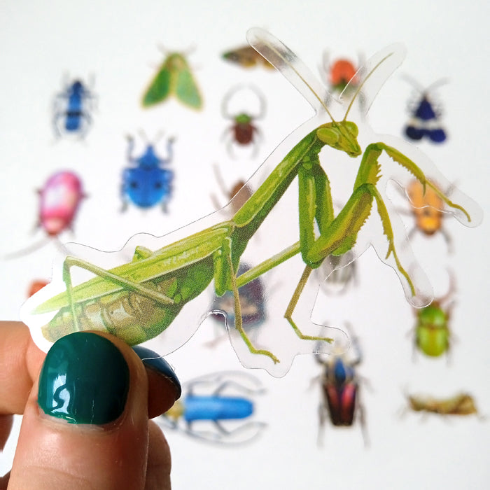 INSECT CLEAR STICKERS