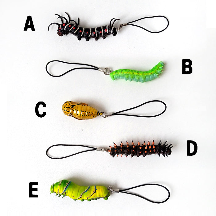 CATERPILLAR STRAPS