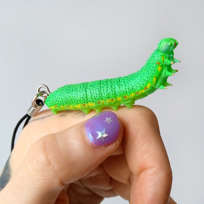 CATERPILLAR STRAPS