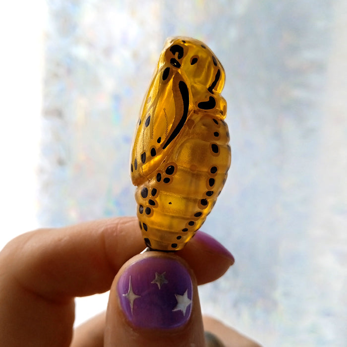 CATERPILLAR STRAPS