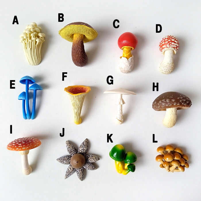 MUSHROOM MAGNET