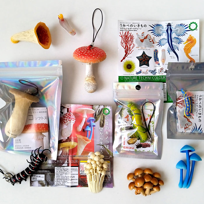 SEA SLUG MAGNETS