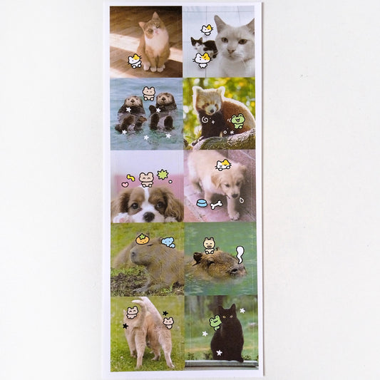 PHOTO DOODLE STICKERS ★ A – DEKHOBOKHO