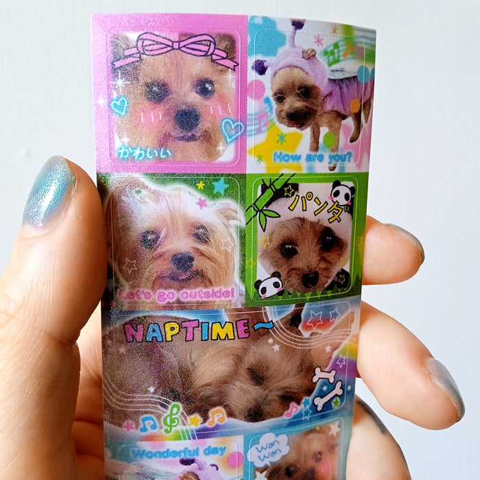 SPARKLE WANWAN STICKERS – RINIHIMME