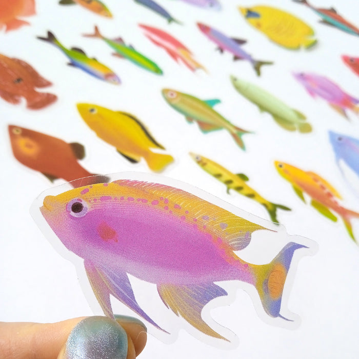 FISH CLEAR STICKERS