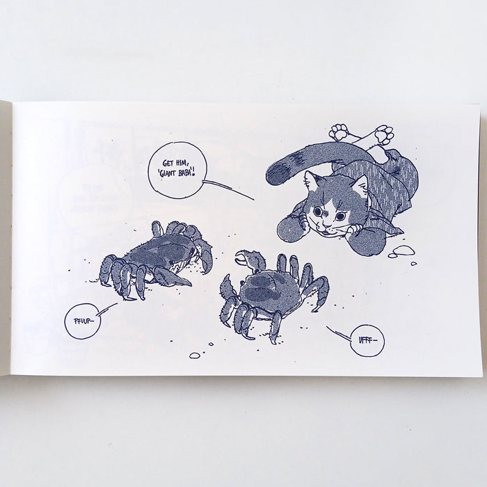 A FROG IN THE FALL – LINNEA STERTE