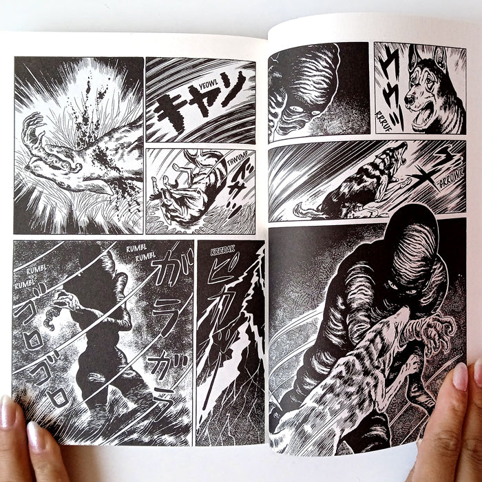 MANSECT – KOGA SHINICHI