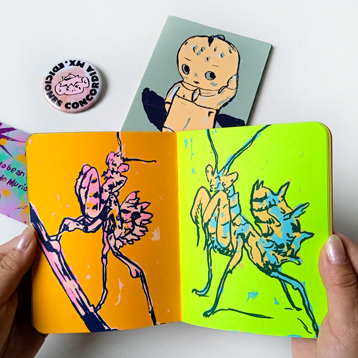 CONCORDIA MINI ZINE SET