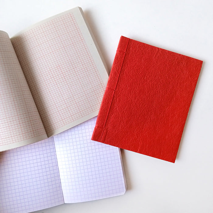 MINI NOTEBOOKS ★ SET OF 3