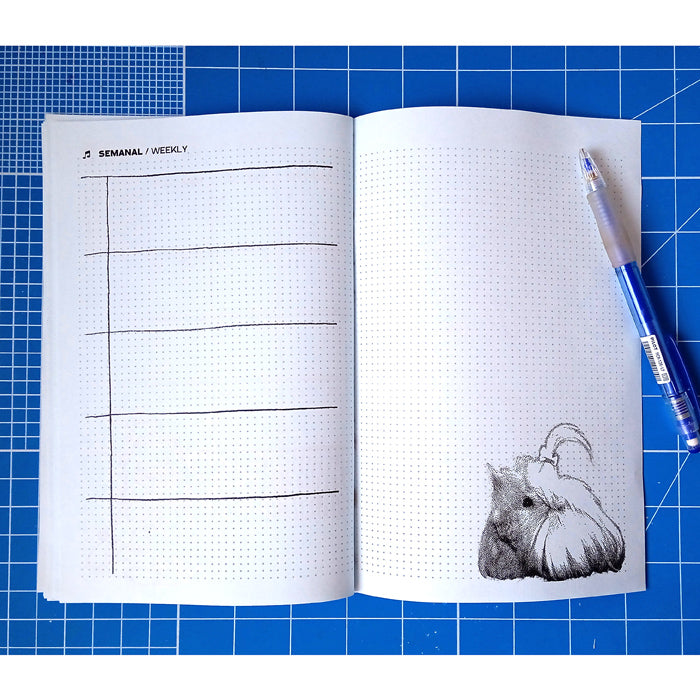 DIGITAL 2026 CALENDAR / PLANNER – INECHI