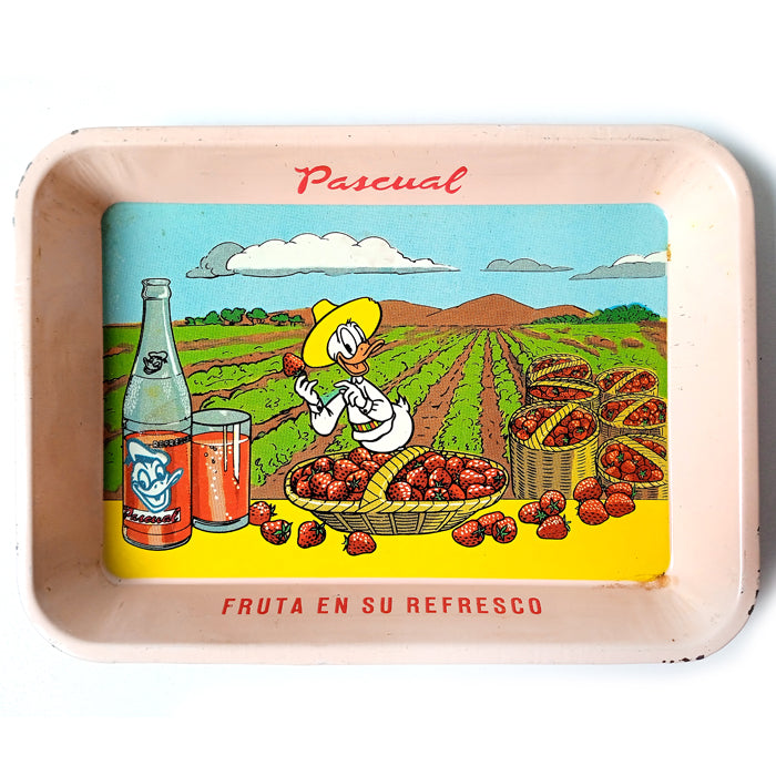 PASCUAL TRAY ★ STRAWBERRIES