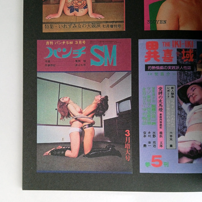 BDSM MAGAZINES FROM JAPAN