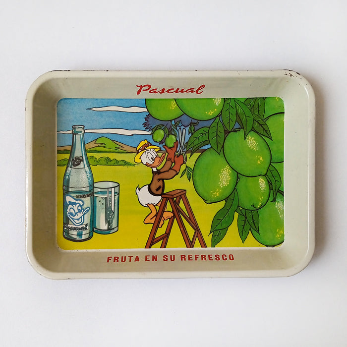PASCUAL TRAY ★ LIMONES