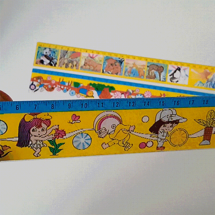 LENTICULAR RULER