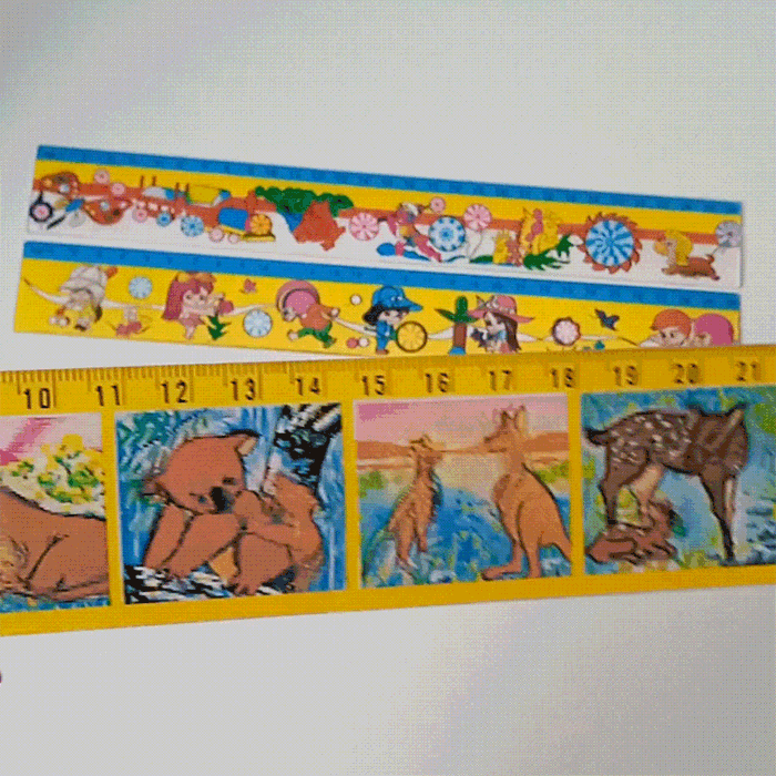 LENTICULAR RULER