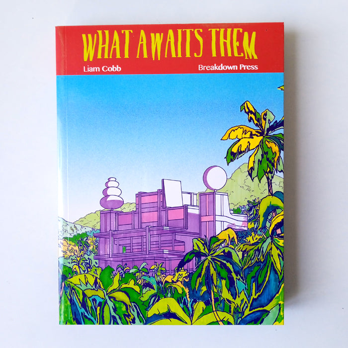 WHAT AWAITS THEM – LIAM COBB