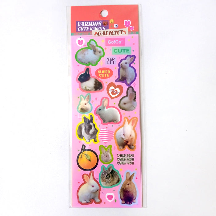 CUTE RABBITS STICKERS