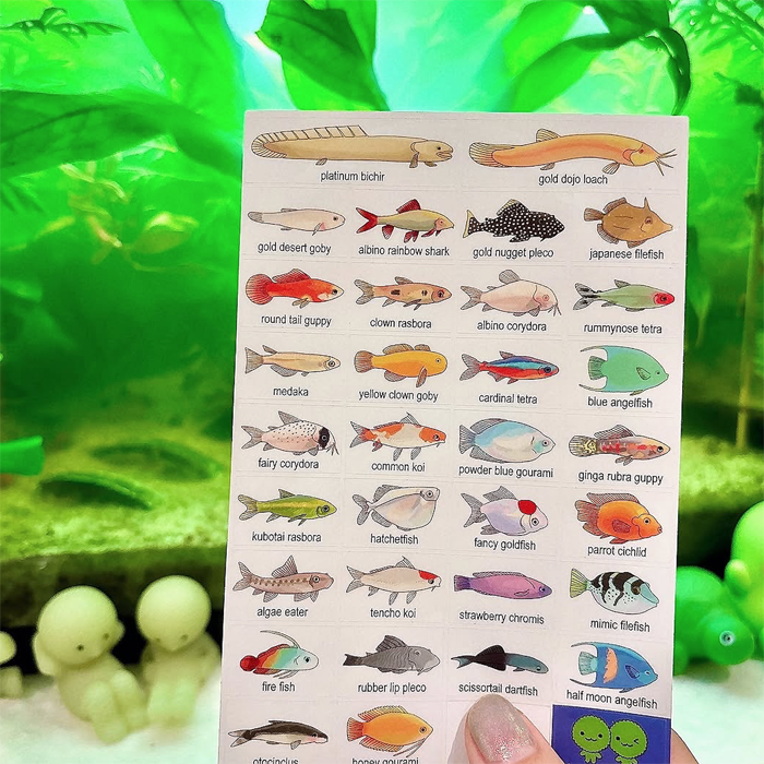 AQUARIUM FISH STICKERS – RINIHIMME