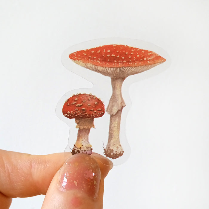 MUSHROOM CLEAR STICKERS