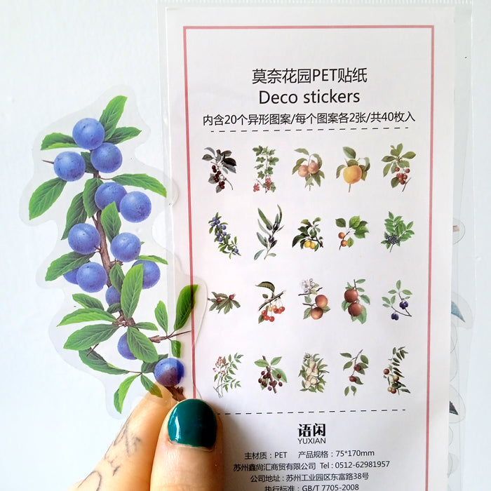 FRUIT TREE CLEAR STICKERS