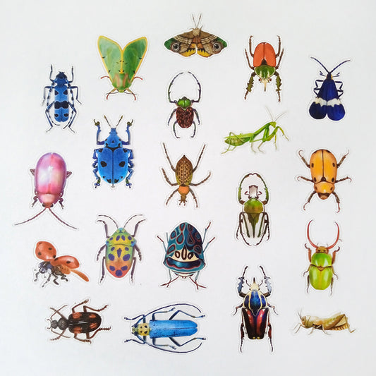 INSECT CLEAR STICKERS