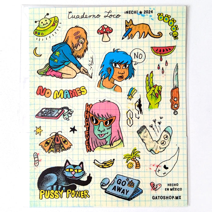 CRAZY NOTEBOOK STICKERS – INECHI