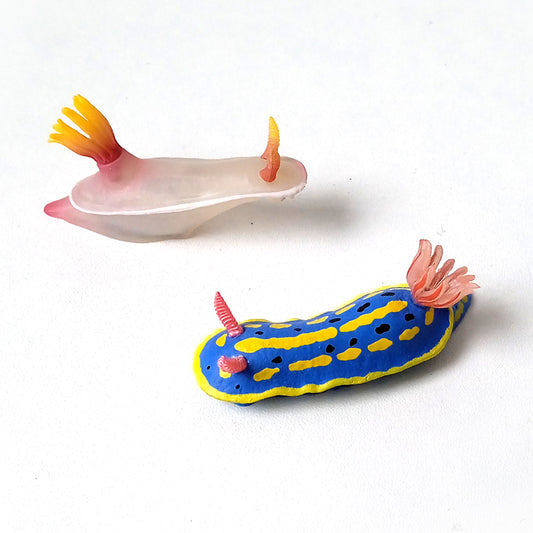 SEA SLUG MAGNETS