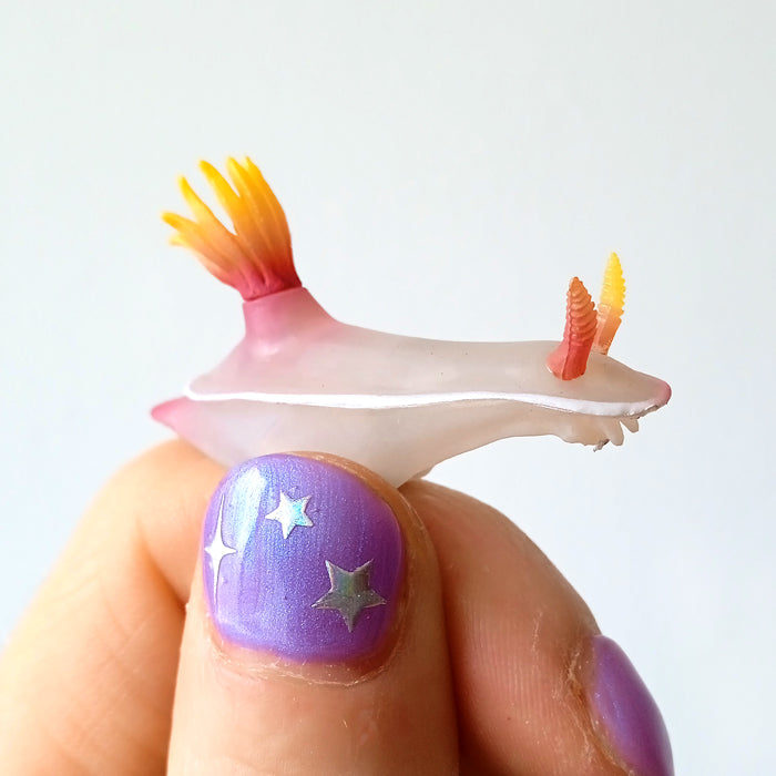 SEA SLUG MAGNETS