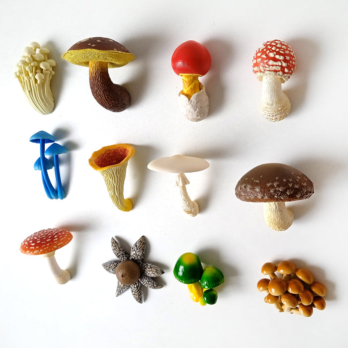 MUSHROOM MAGNET