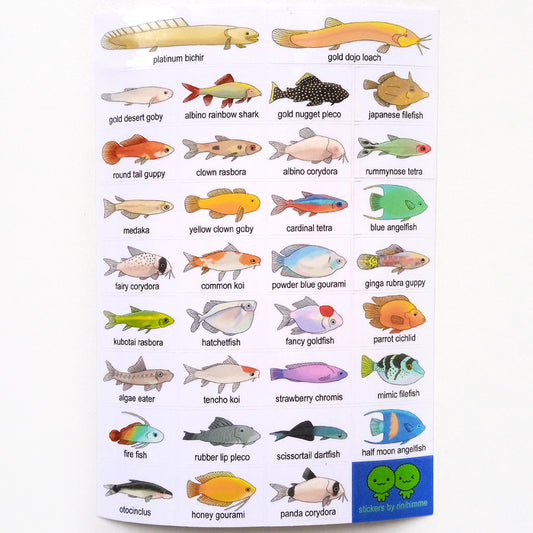 AQUARIUM FISH STICKERS – RINIHIMME