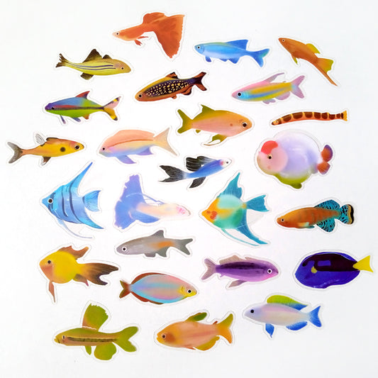 FISH CLEAR STICKERS