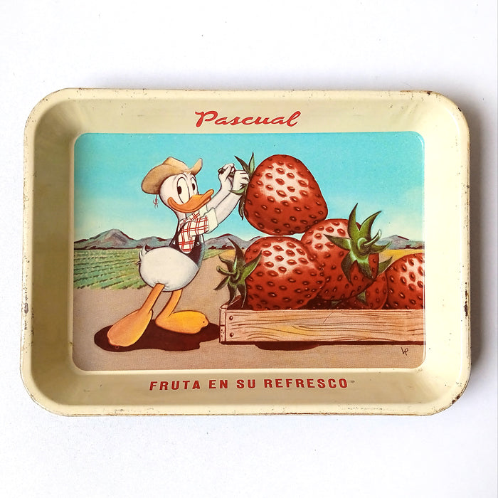 PASCUAL TRAY ★ STRAWBERRIES