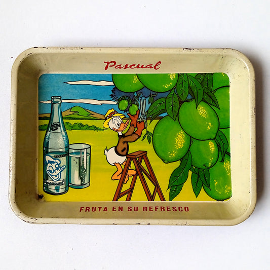 PASCUAL TRAY ★ LIMONES