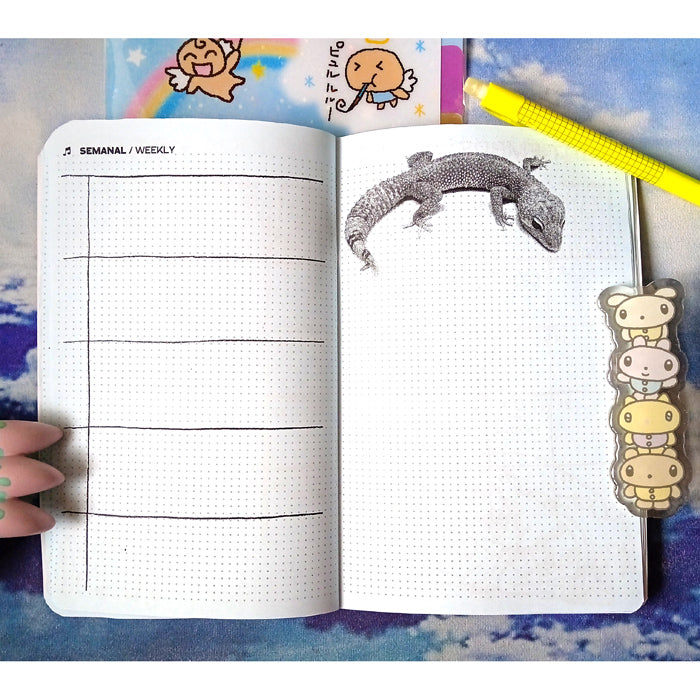 2026 CALENDAR / PLANNER – INECHI