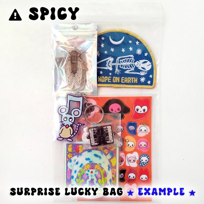 TASTE THE MYSTERY MEGA LUCKY BAG