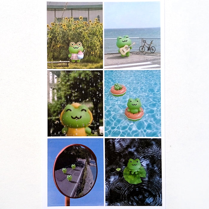 3D FROG PHOTO STICKERS – DEKHO BOKHO