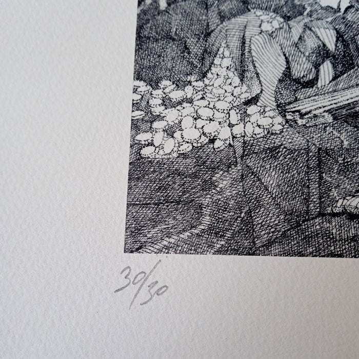 UNTITLED – APOLO CACHO