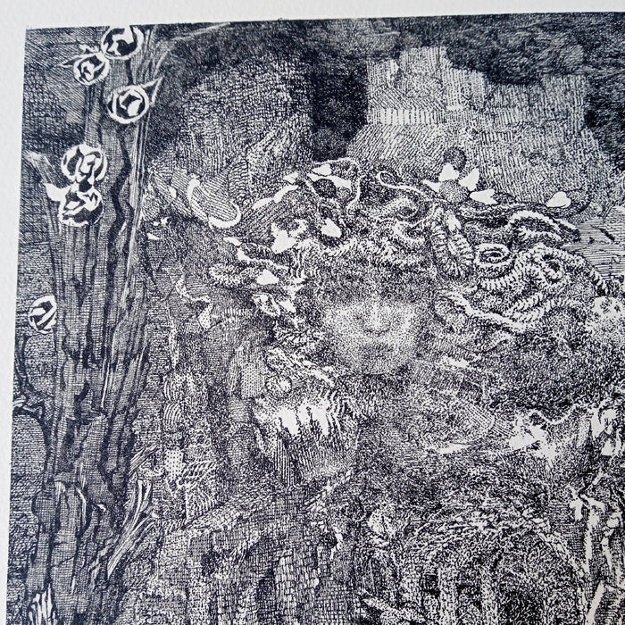 UNTITLED – APOLO CACHO