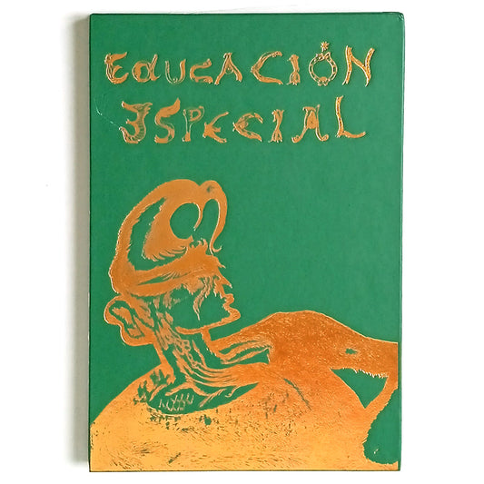 EDUCACION ESPECIAL – MURIEL BELLINI & ALEJO INI
