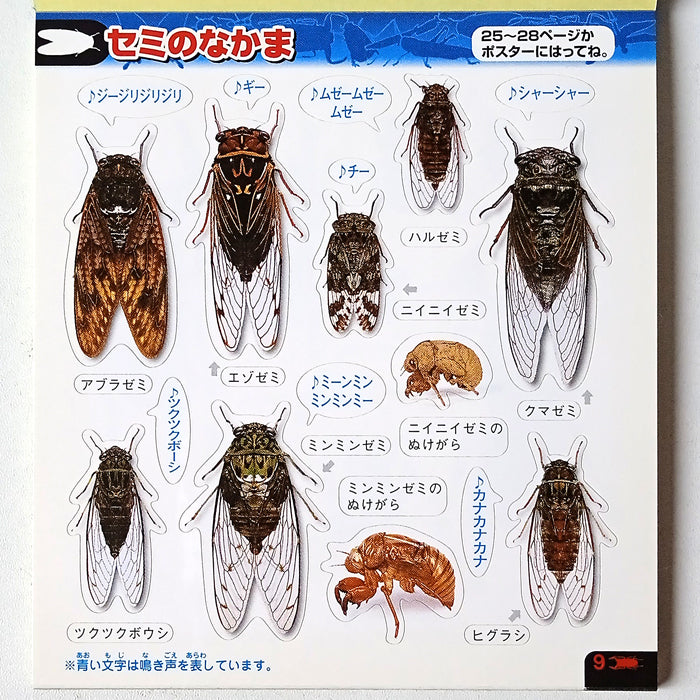 BEETLE STICKERS ★ SURPRISE GRAB BAG OF 2