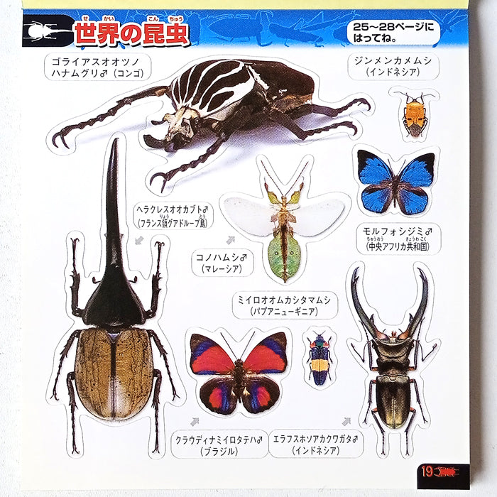 BEETLE STICKERS ★ SURPRISE GRAB BAG OF 2