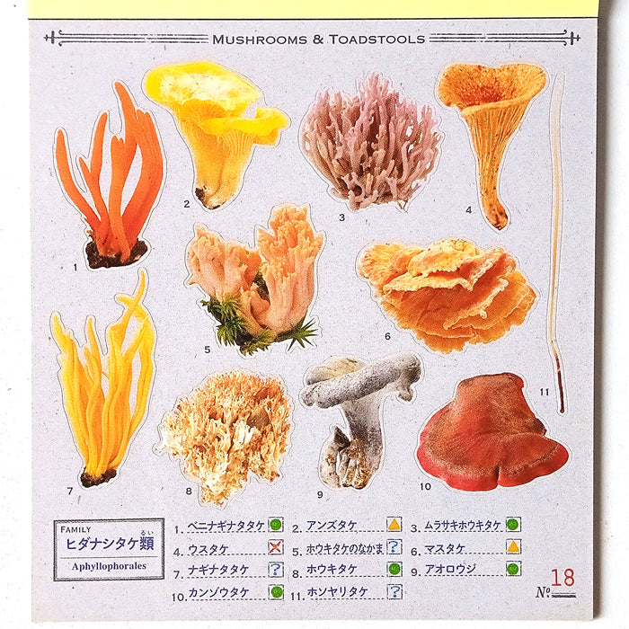 FUNGI STICKERS ★ SURPRISE GRAB BAG OF 2