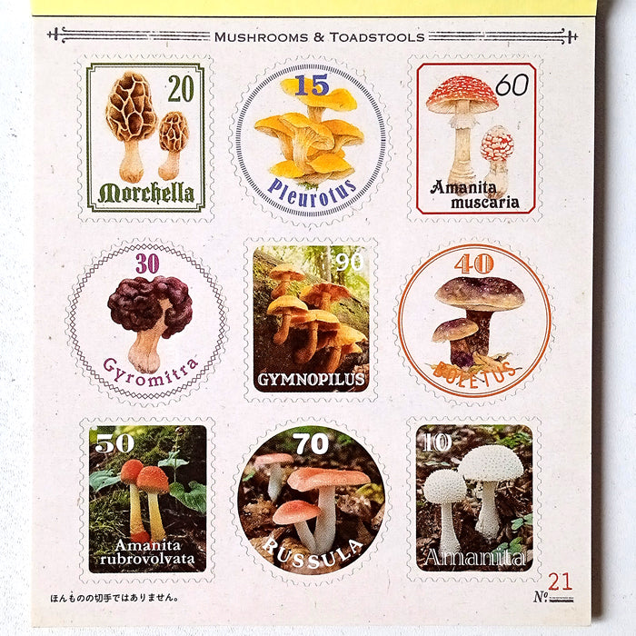 FUNGI STICKERS ★ SURPRISE GRAB BAG OF 2