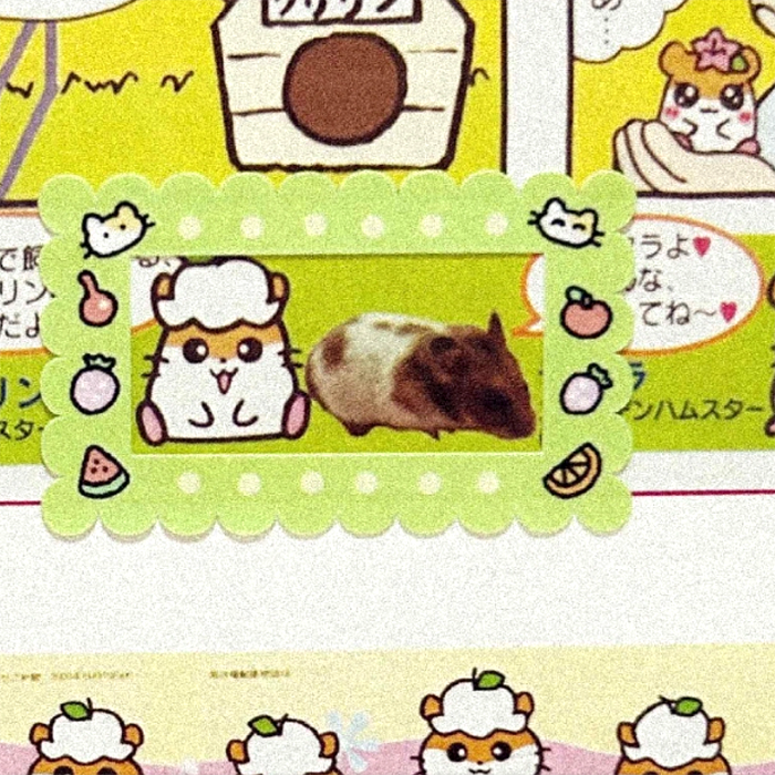 RETRO FRAME STICKERS – DEKHO BOKHO