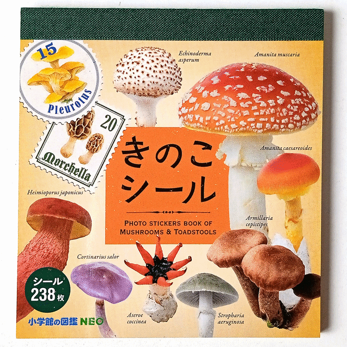 FUNGI STICKERS ★ SURPRISE GRAB BAG OF 2