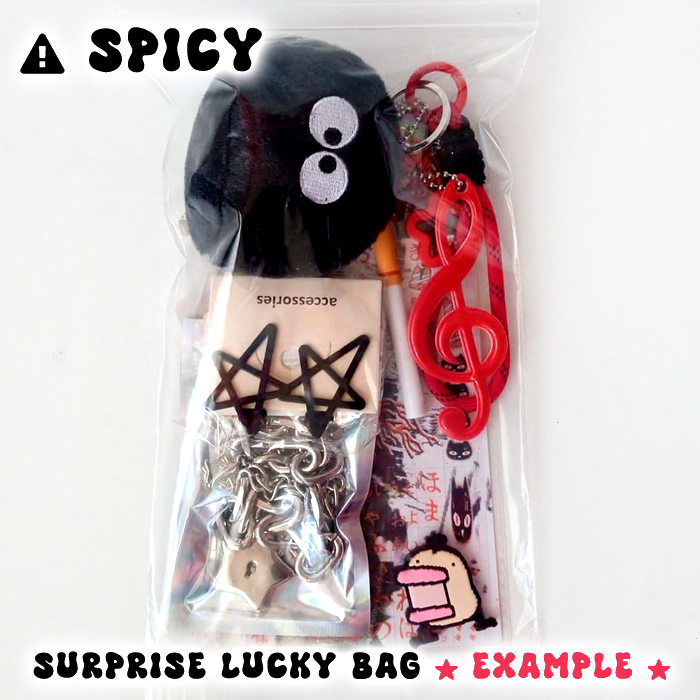 TASTE THE MYSTERY MEGA LUCKY BAG